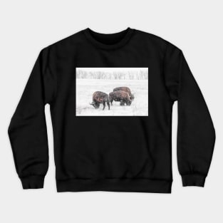 Frosty Bison Trio Crewneck Sweatshirt